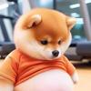 @Z z头像