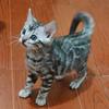狗蛋🐈头像