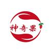 神奇果-宁夏枸杞头像