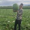 小刘🍉（全国西瓜代发）头像