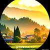 乐呵呵头像