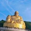 一帆风顺头像
