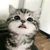 小赖同学头像