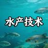 水产技术–王斌头像