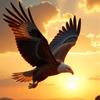 雄鹰头像