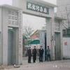 小可头像