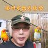 福州市爱鹦养殖家园头像