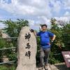 言午论金头像