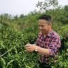 熊没出段子王头像