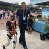 海南高峰现代农业集团头像