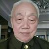 不老松头像