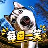 每日一笑头像
