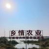 大通湖乡情农业超哥头像