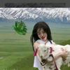 宁波环游世界头像