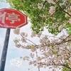 晓白晓胖头像