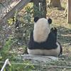 不二头像