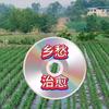 乡村 治愈头像