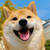 贵贵园长头像
