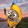 春风猫meme头像
