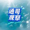 通哥观察头像