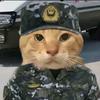 猛虎王头像