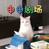 申申剧场头像