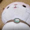 pinky猫头像