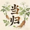 当归头像