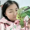 暴躁程姐和开心头像