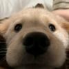 无人区的晚霞头像