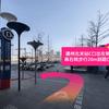 公安看庭前花开头像