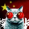 电影喵探长头像