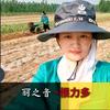 燕阳农资大卖场小丽（根力多）头像