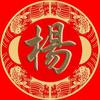小杨总头像