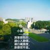 川师者情怀头像