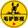 毛驴说影视头像