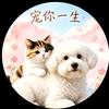 倩爷&宠你一生头像