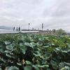 余生有你头像