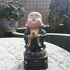 腊梅花王宏头像