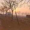 @聊城晓荣头像