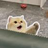 美事吃吃吃头像