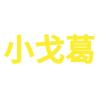 92年小戈葛头像