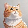 肥猫的数码空间头像