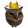 猫meme皇权头像