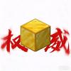 金块(我的世界)头像