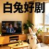 白兔好剧头像