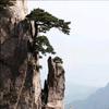 深山村人头像