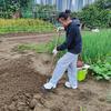 城市开荒种菜人头像