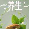 正阳归元头像