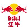 红牛极限运动头像